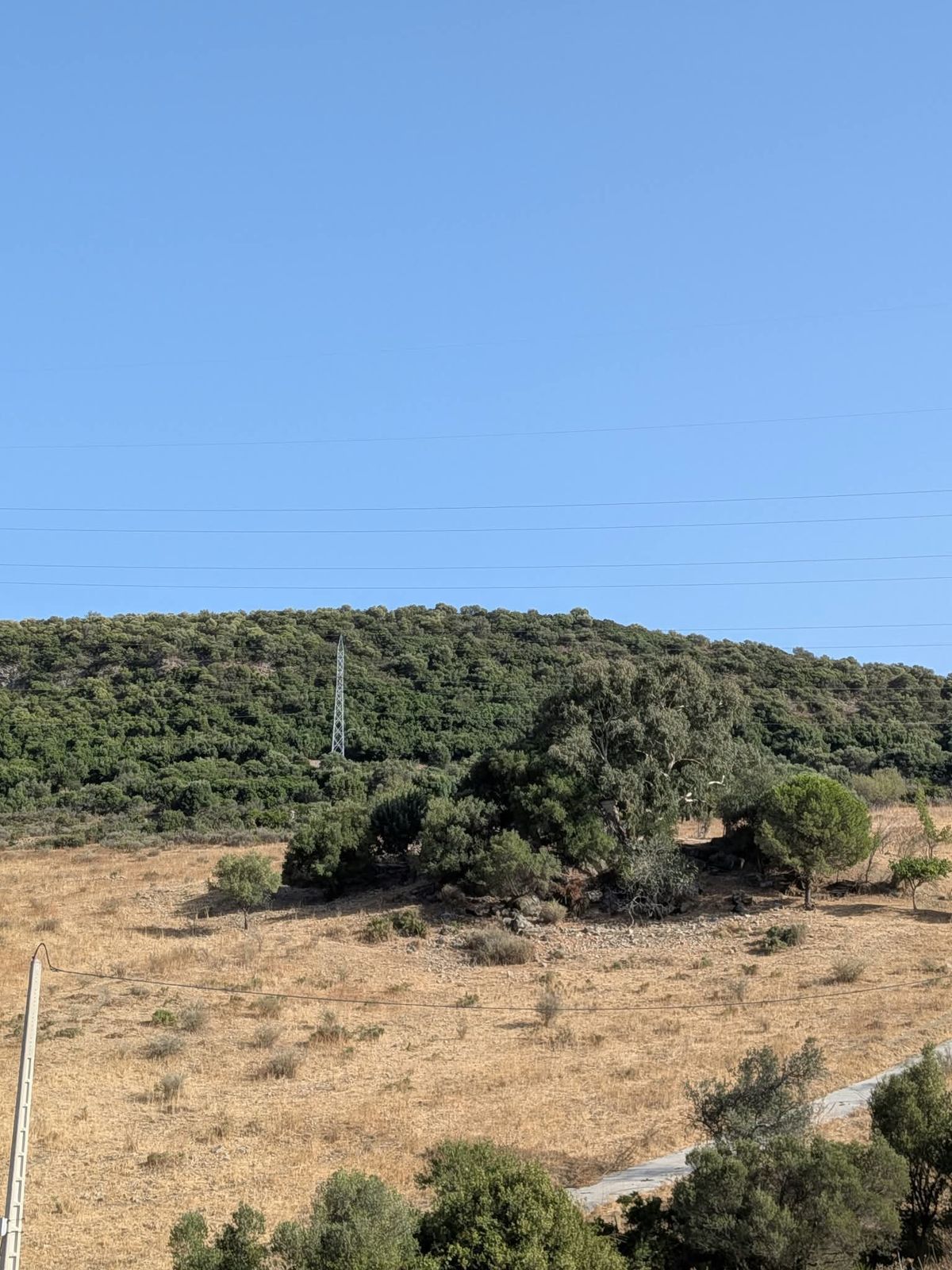 Land in Casares, Casares, 7/12