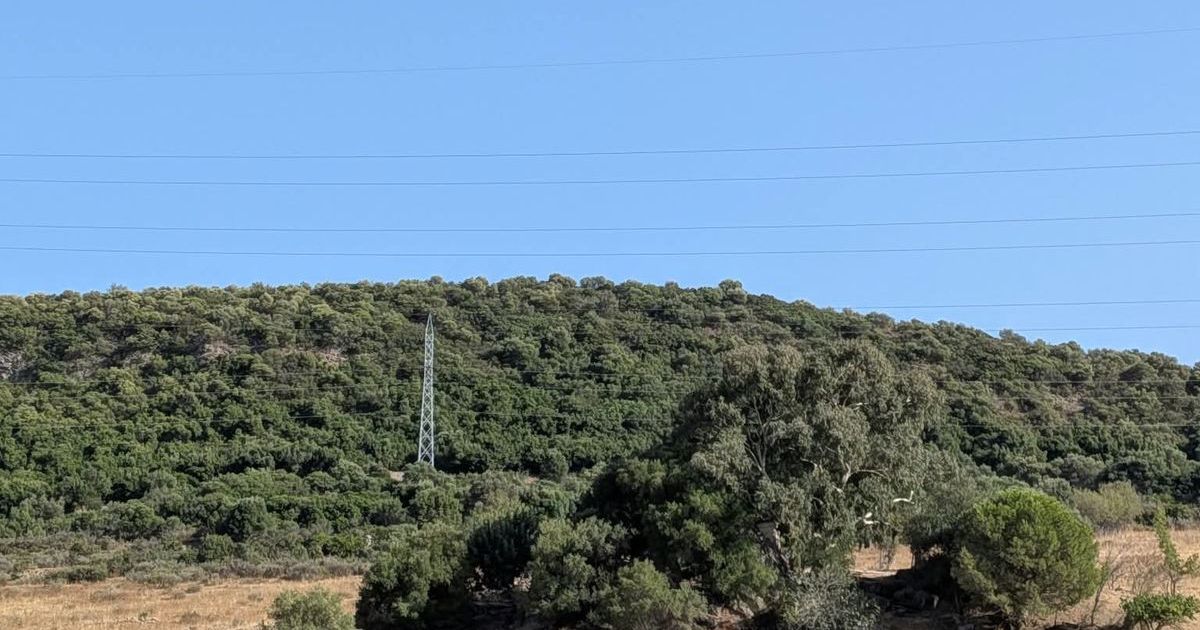 Land in Casares, Casares, 7/12