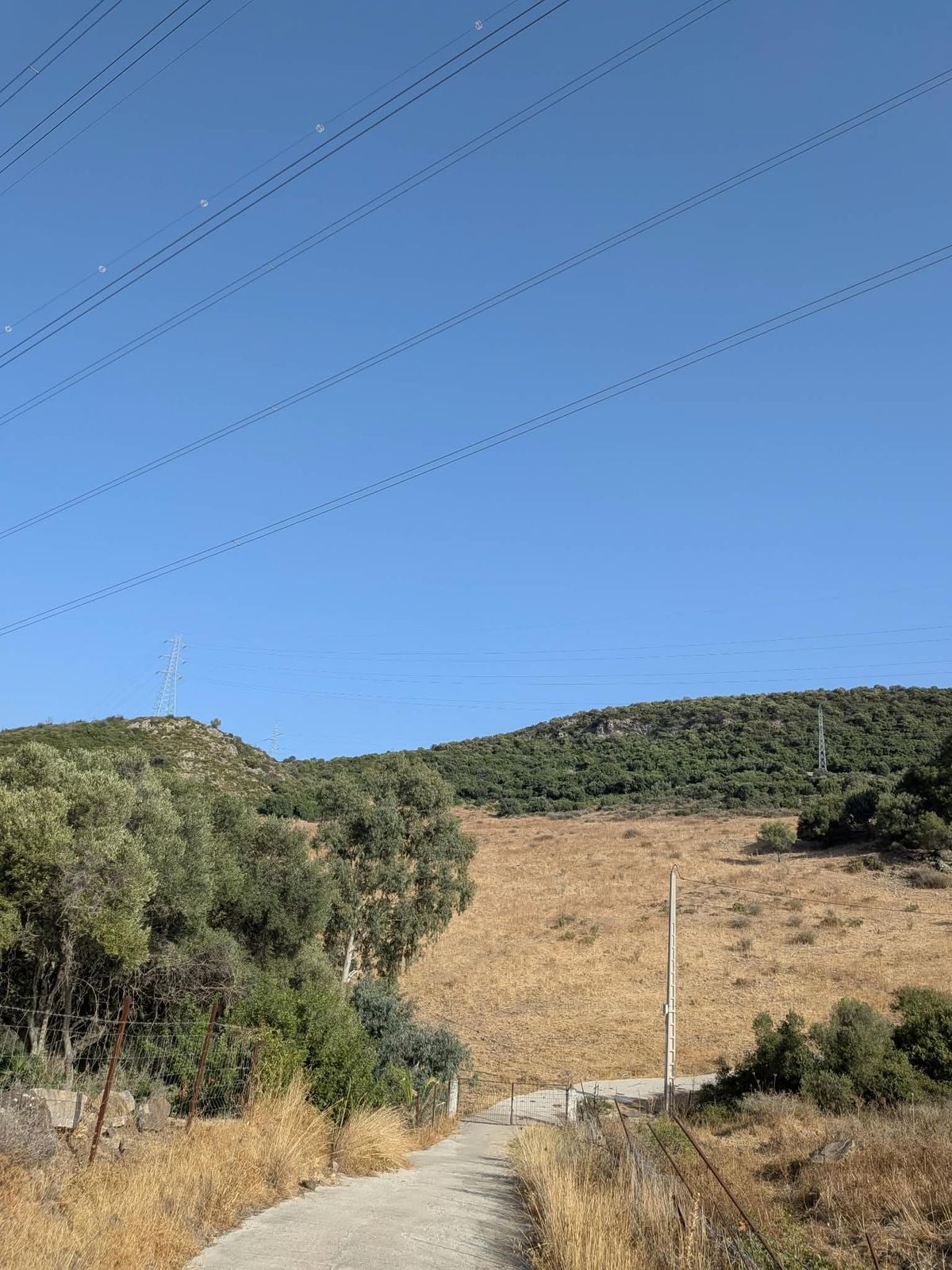 Land in Casares, Casares, 8/12