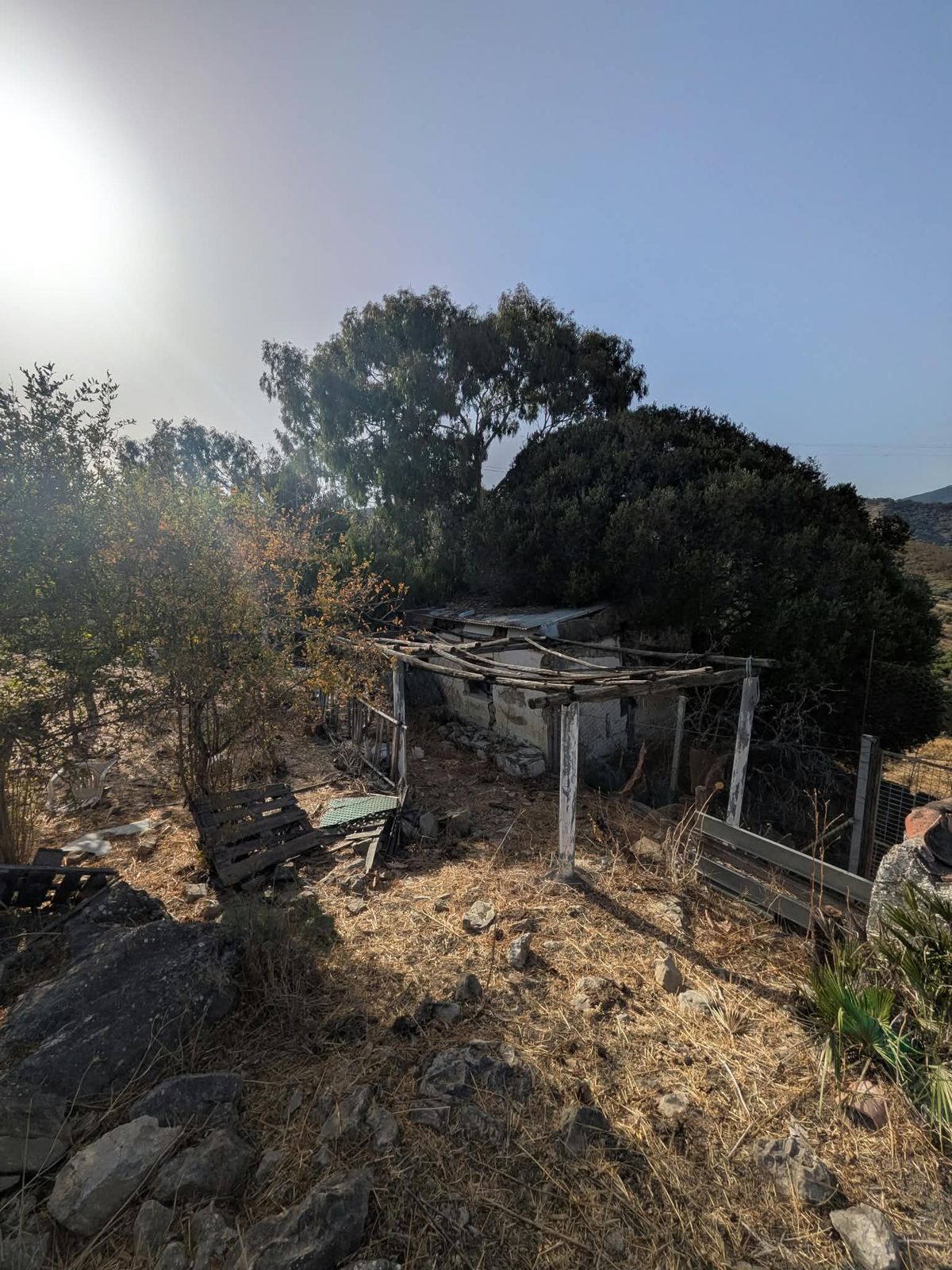 Land in Casares, Casares, 9/12