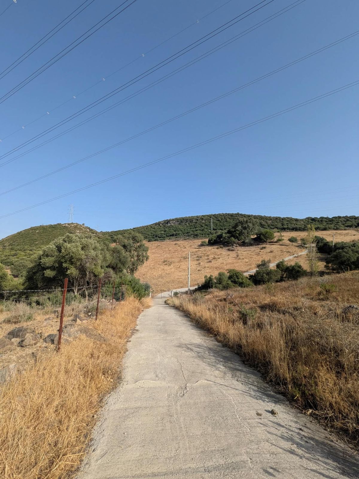 Land in Casares, Casares, 10/12