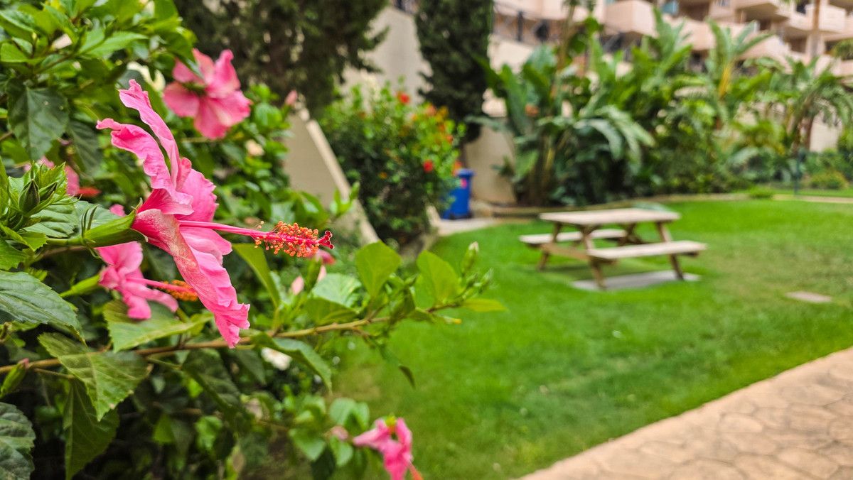 Ground Floor Apartment in La Duquesa, La Duquesa, 8/12