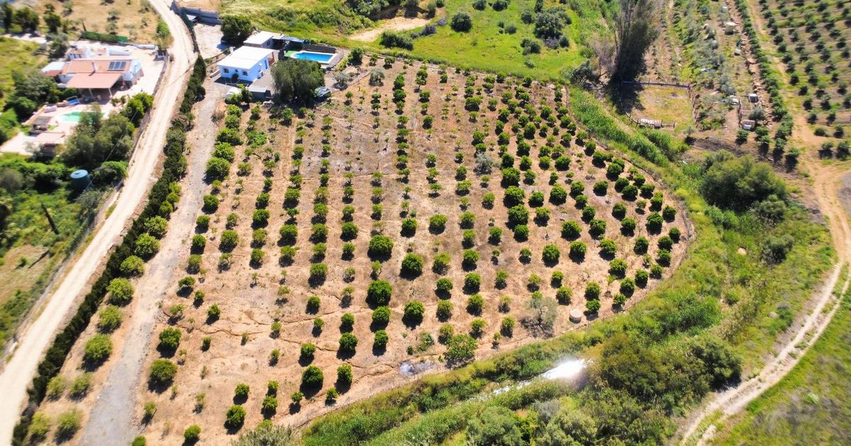 Finca - Cortijo in Pizarra, Pizarra, 2/12