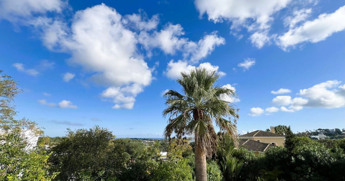 Villa à Sotogrande, Zona G, Sotogrande, 5/12