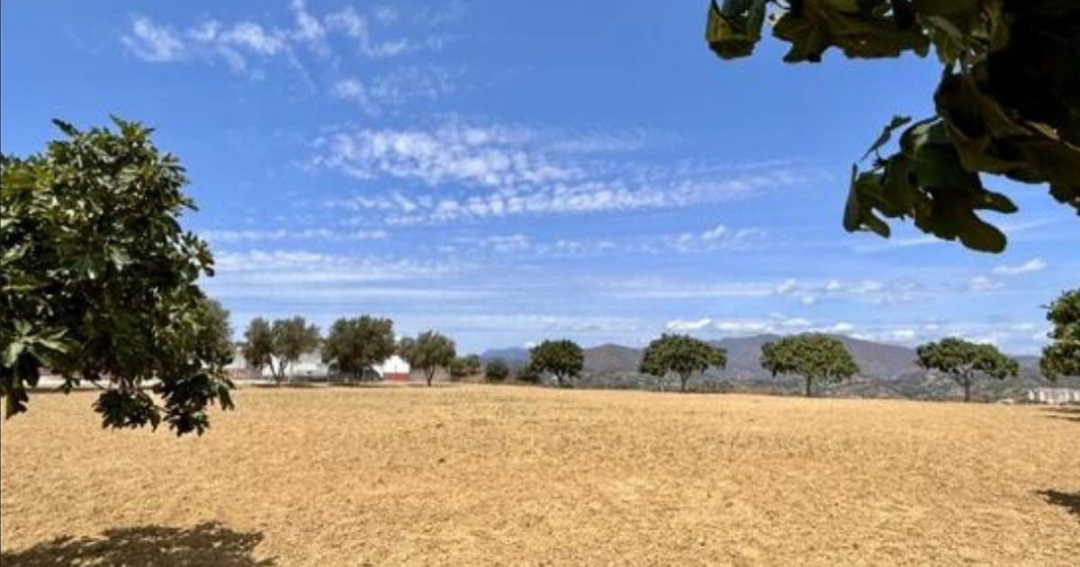 Land in Mijas, Mijas, 1/12
