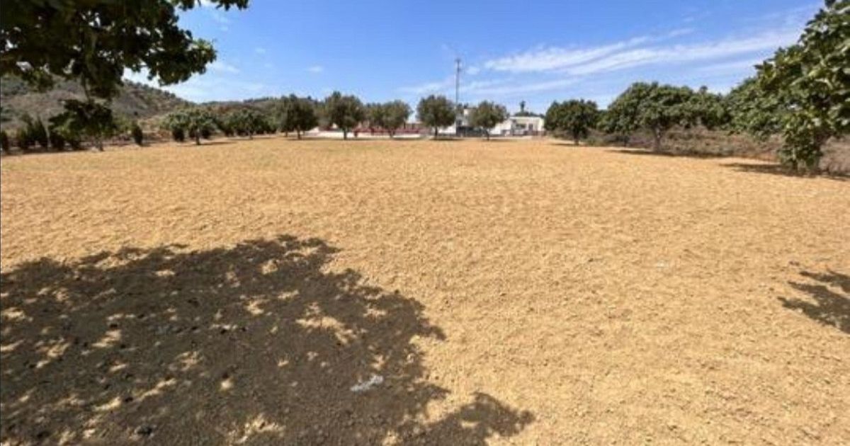 Land in Mijas, Mijas, 2/12
