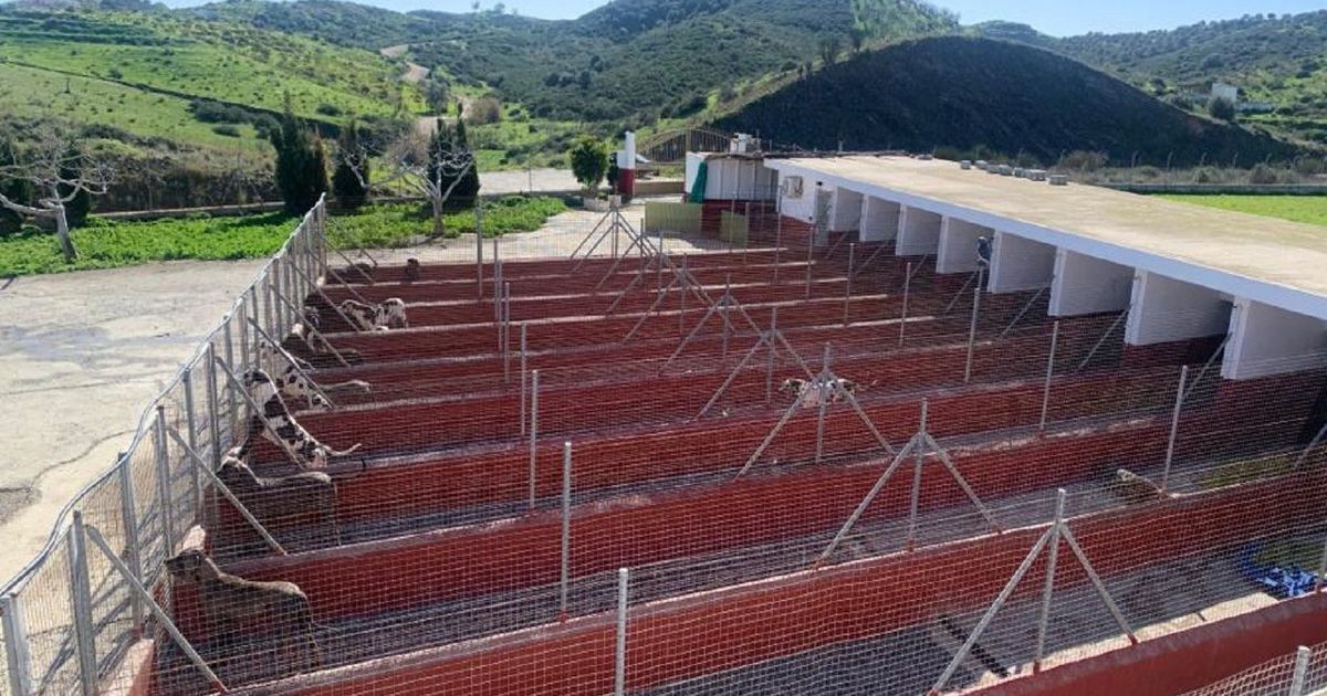 Land in Mijas, Mijas, 7/12