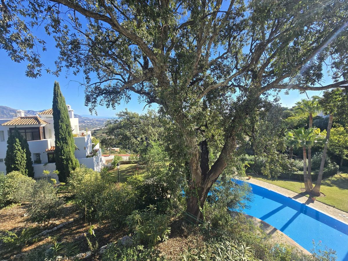 Ground Floor Apartment in La Mairena, La Mairena, 6/12