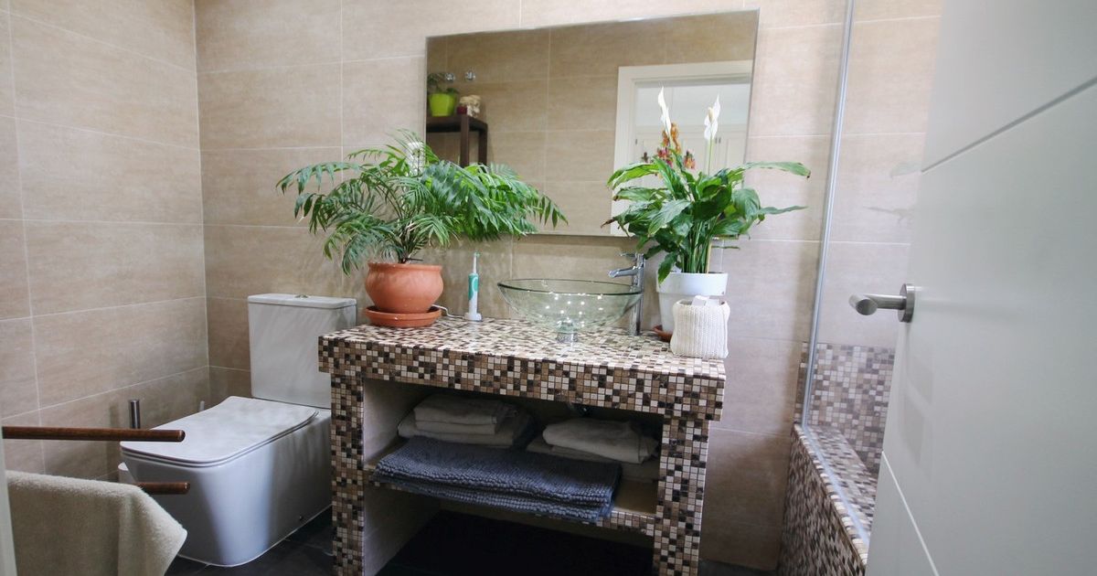 Ground Floor Apartment in La Mairena, La Mairena, 9/12