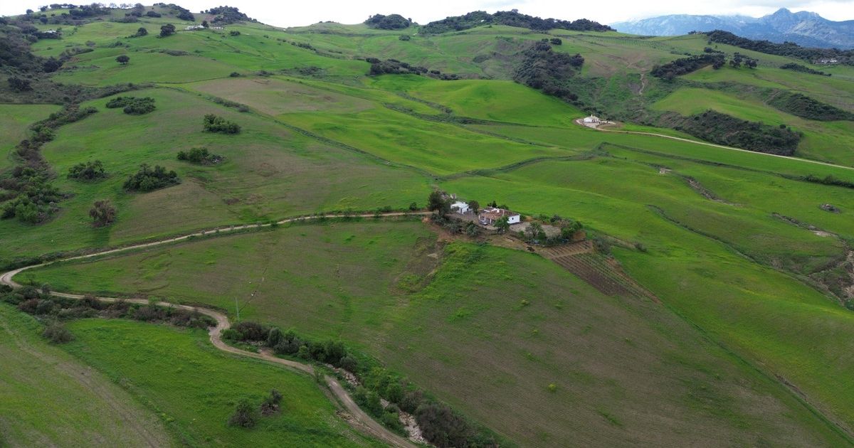 Land in Ronda, Ronda, 2/12