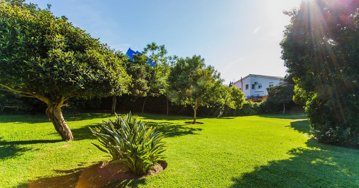 Studio in Marbella East, Marbesa, Marbella East, 7/12
