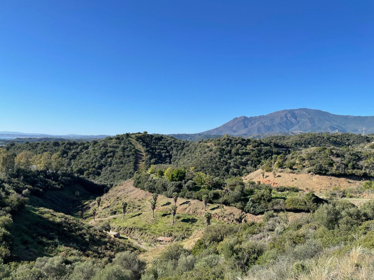 Residential Plot in New Golden Mile, New Golden Mile, 6/6