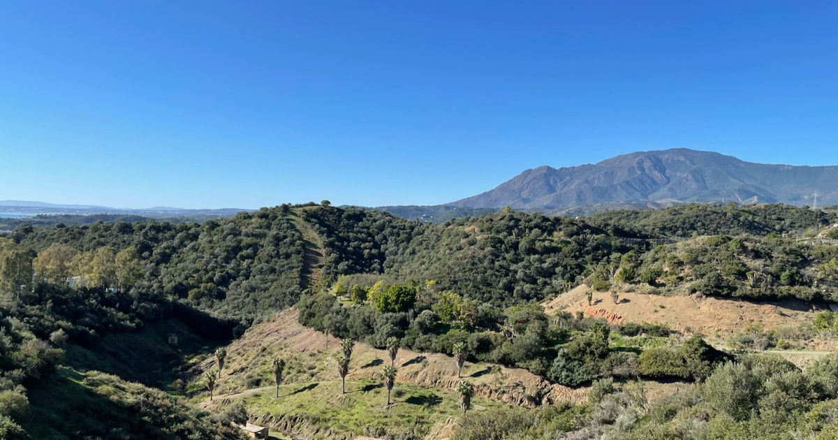 Residential Plot in New Golden Mile, New Golden Mile, 6/6