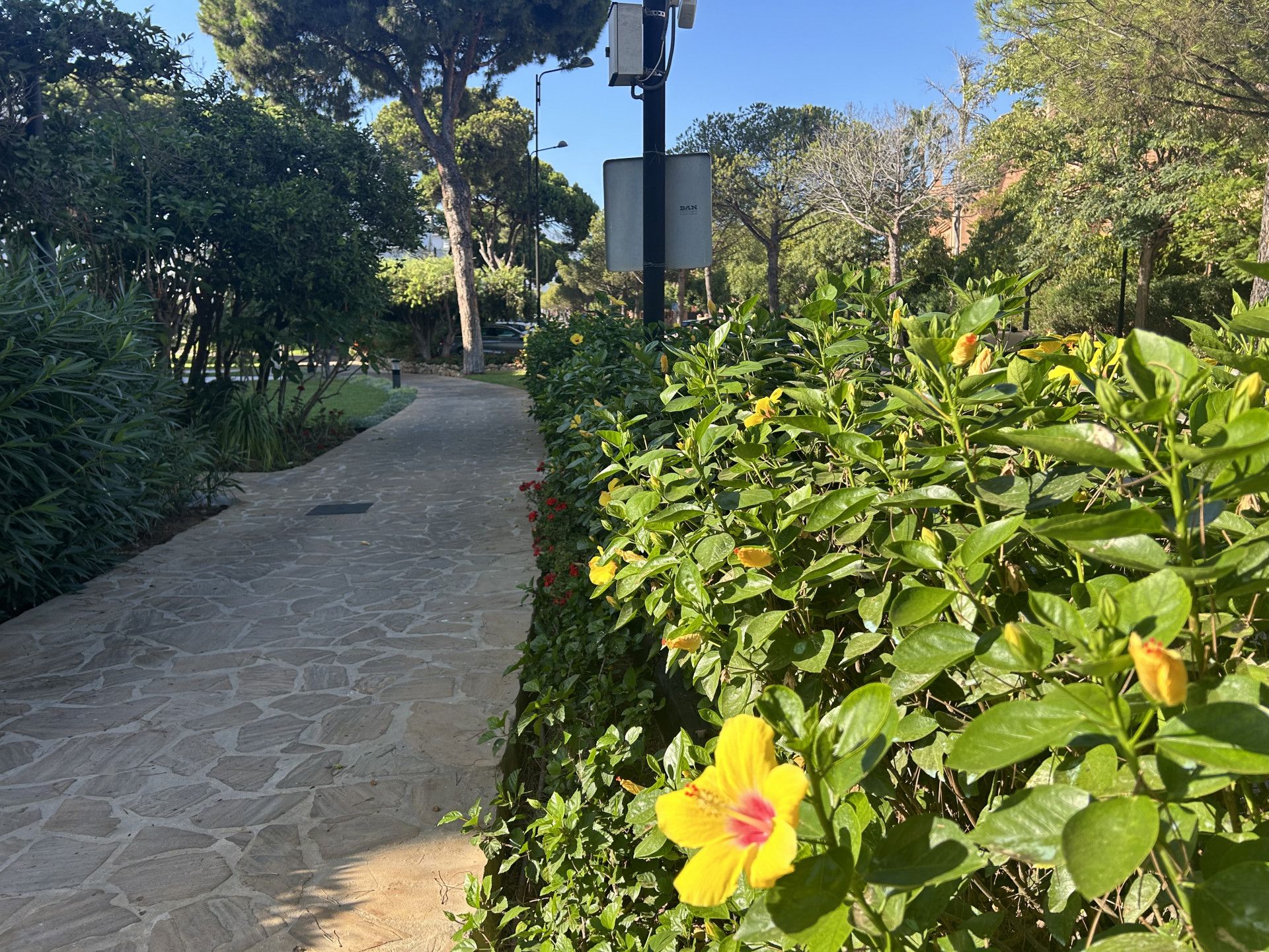 Penthouse à Estepona, El Presidente, Estepona, 12/12