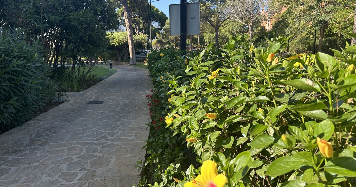 Penthouse à Estepona, El Presidente, Estepona, 12/12
