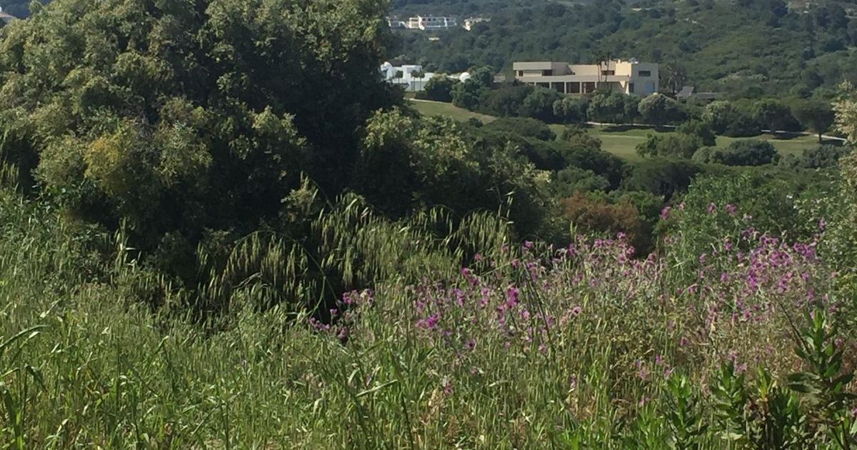 Parcela Residencial en Sotogrande, Sotogrande, 5/8