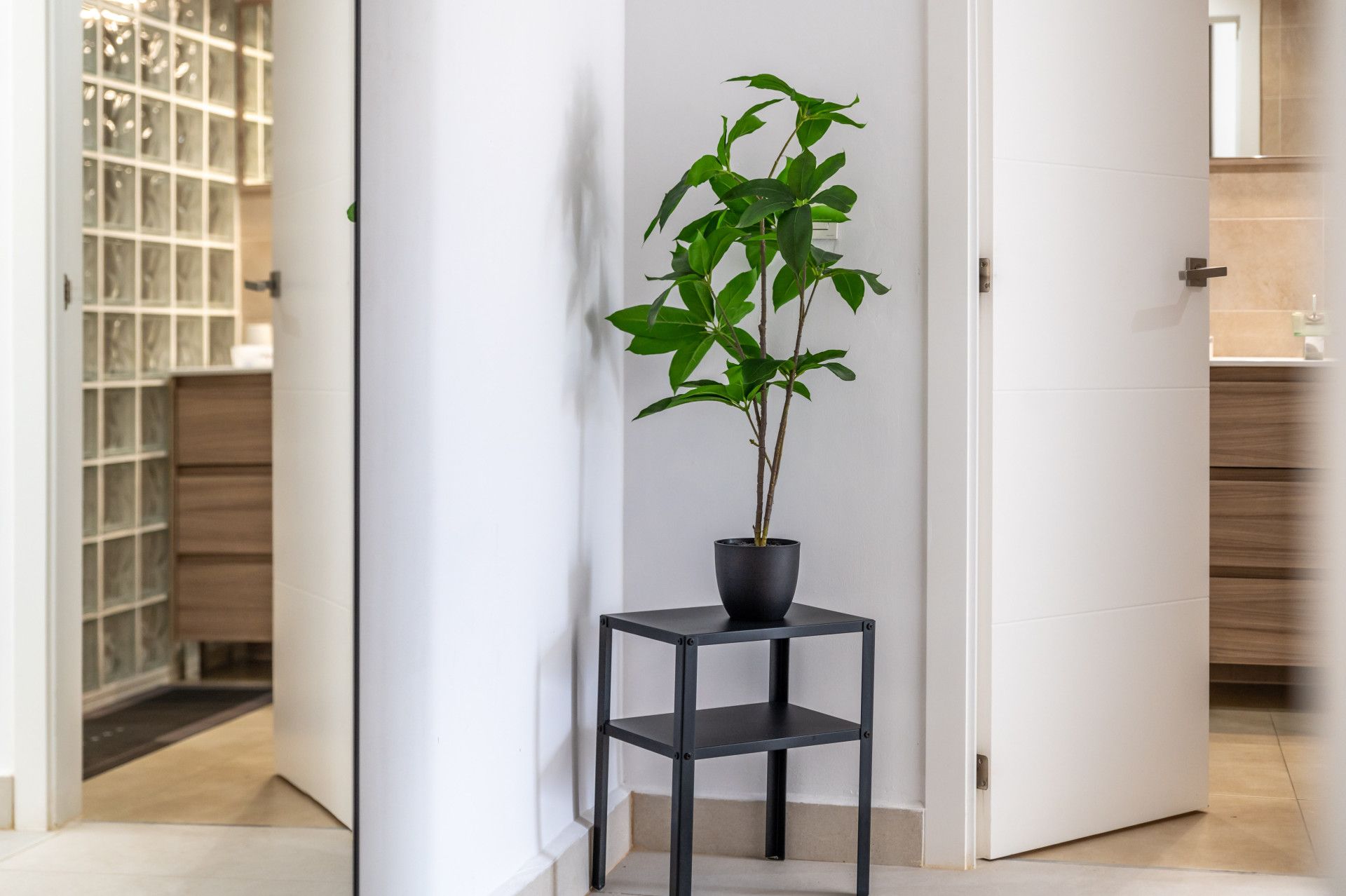 Apartment in Nueva Andalucia, Nueva Andalucia, 11/12