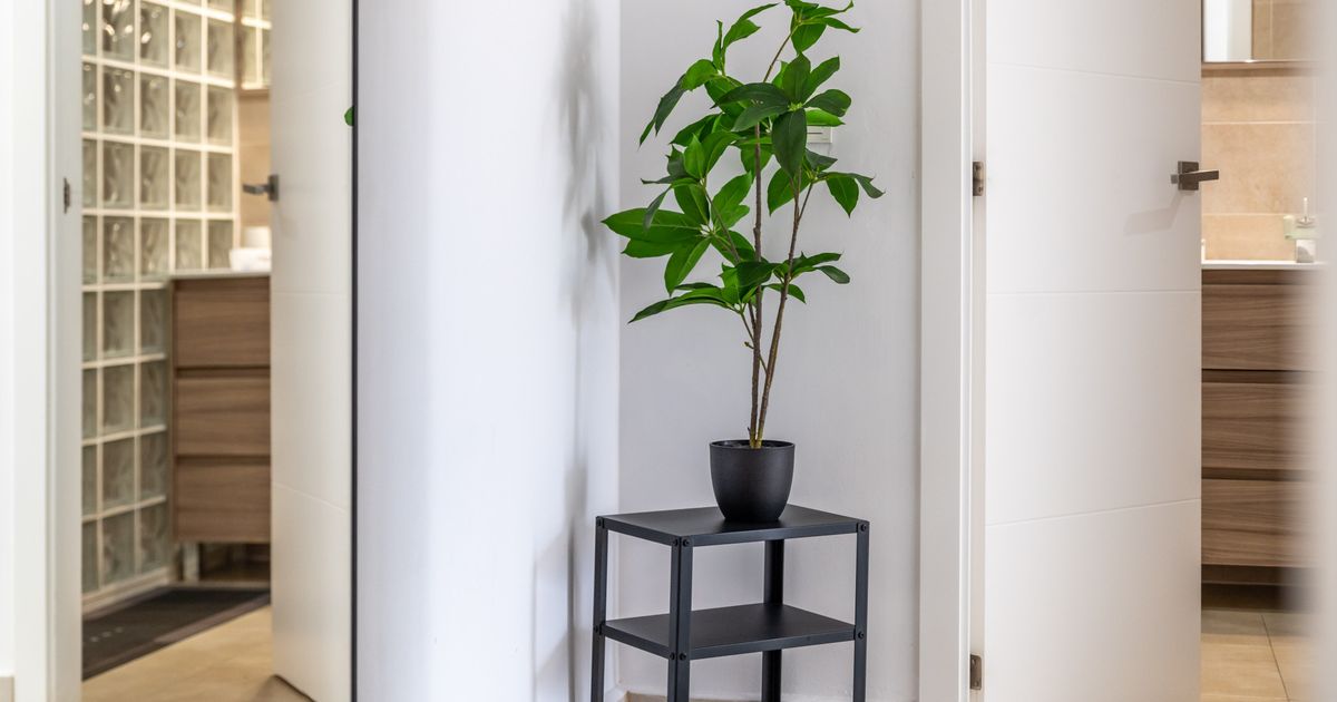 Apartment in Nueva Andalucia, Nueva Andalucia, 11/12
