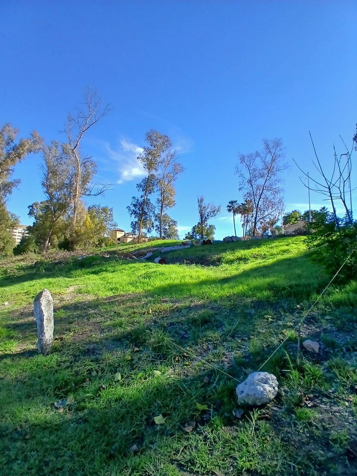 Terrain Résidentiel à Guadalmina Alta, Guadalmina Alta, 11/12