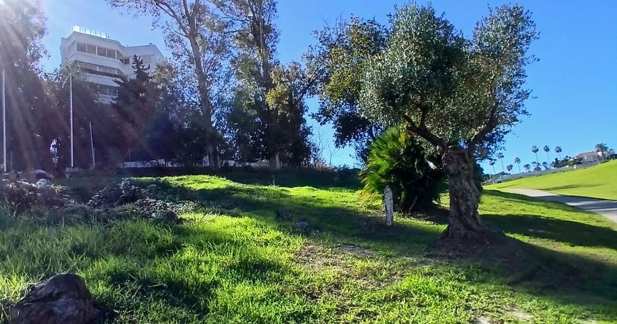 Terrain Résidentiel à Guadalmina Alta, Guadalmina Alta, 4/12