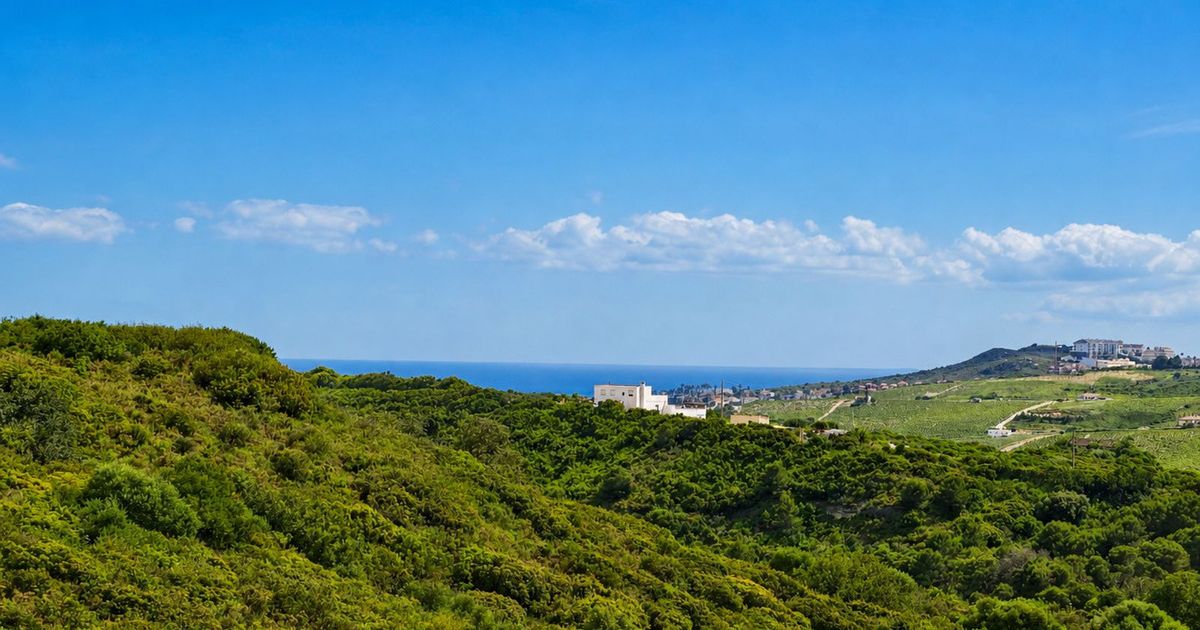 Maison de ville à Casares Playa, Casares Playa, 2/12