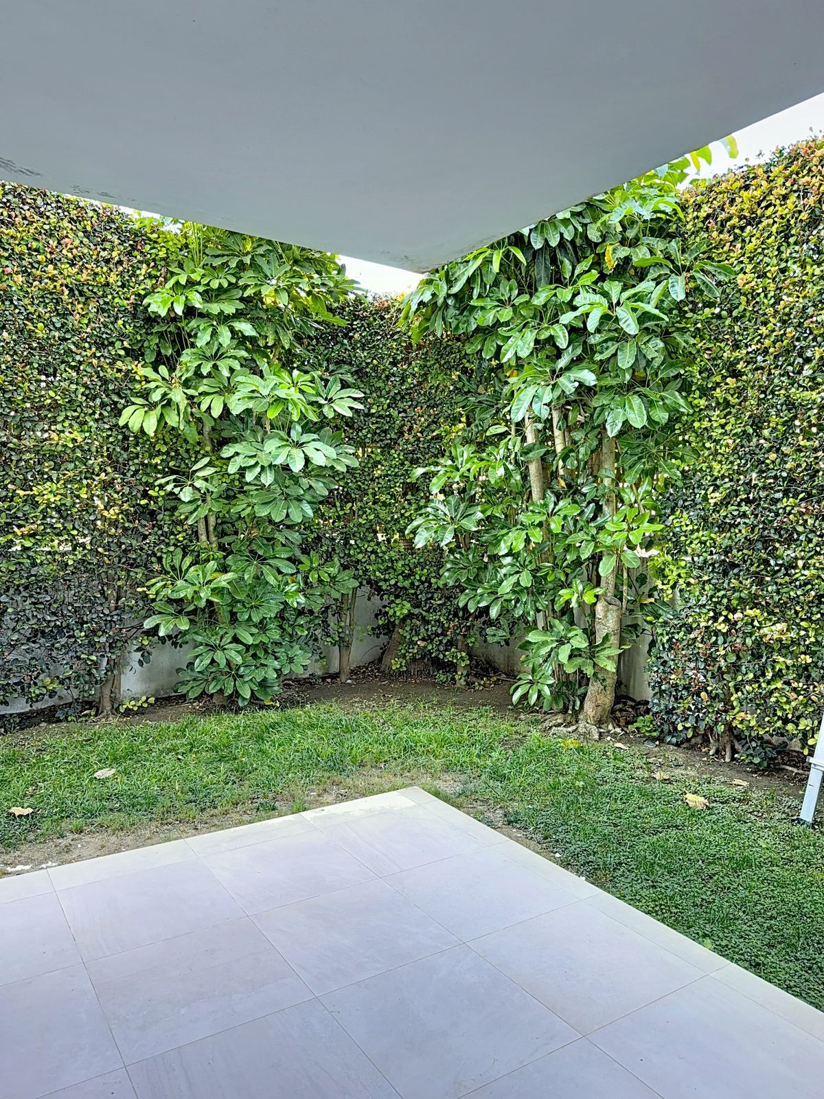 Erdgeschosswohnung in Bel Air, Bel Air, 8/12
