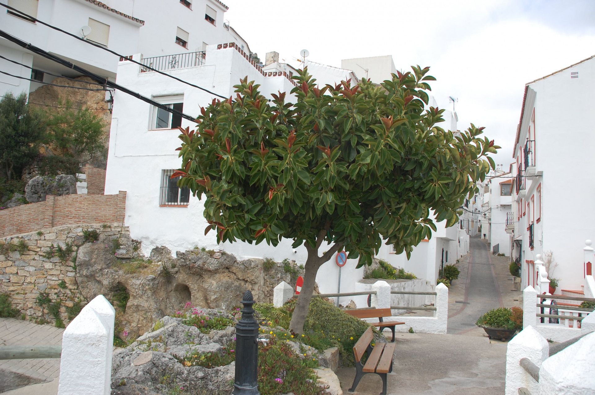 Chalet in Casares, Casares Pueblo, Casares, 1/12