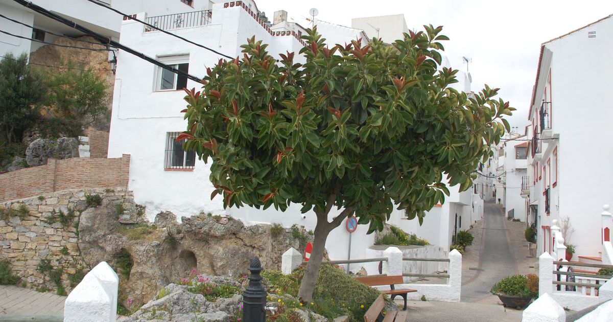 Chalet in Casares, Casares Pueblo, Casares, 1/12