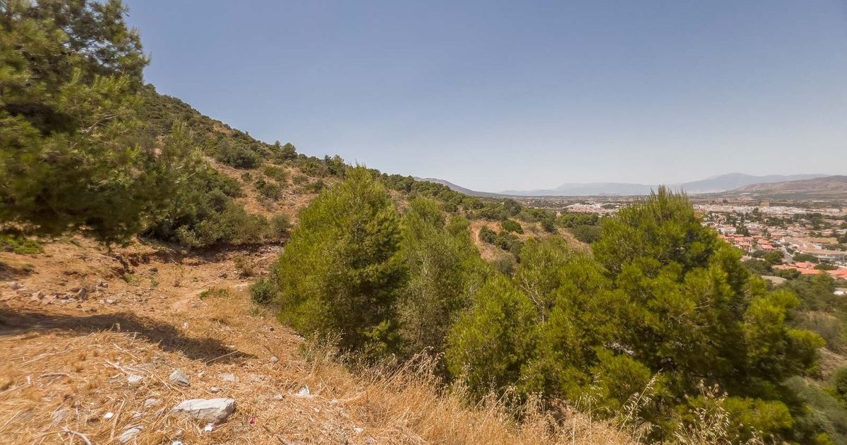 Residential Plot in Alhaurín de la Torre, Alhaurín de la Torre, 3/11