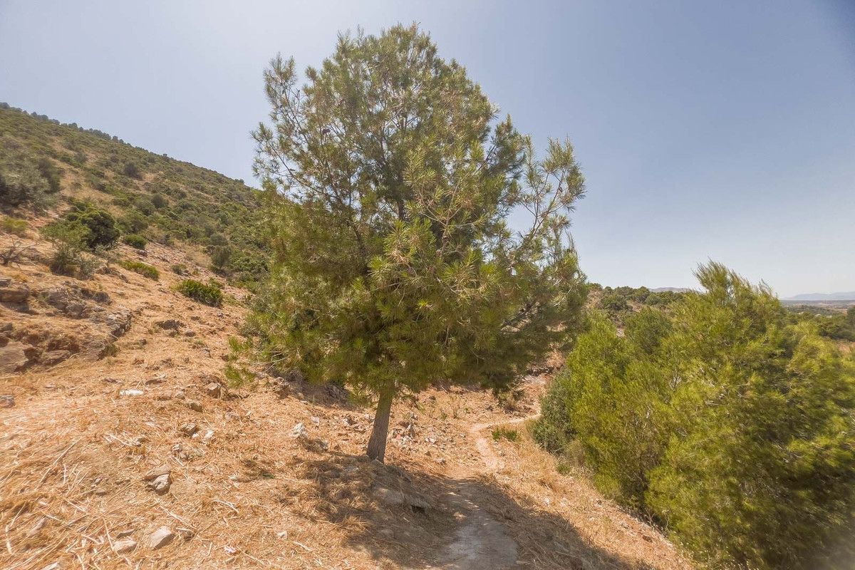 Residential Plot in Alhaurín de la Torre, Alhaurín de la Torre, 5/11