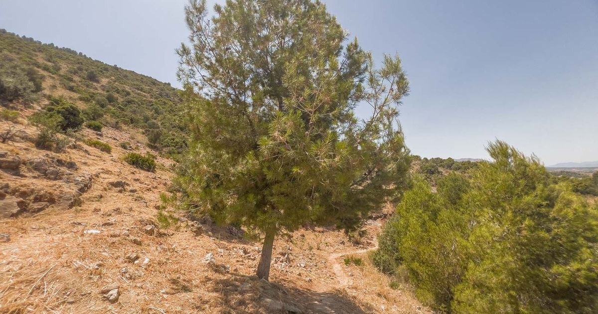 Residential Plot in Alhaurín de la Torre, Alhaurín de la Torre, 5/11