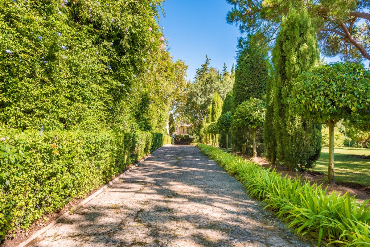 Detached Villa in Sotogrande Alto, Sotogrande Alto, 4/12