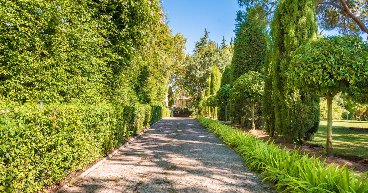 Detached Villa in Sotogrande Alto, Sotogrande Alto, 4/12