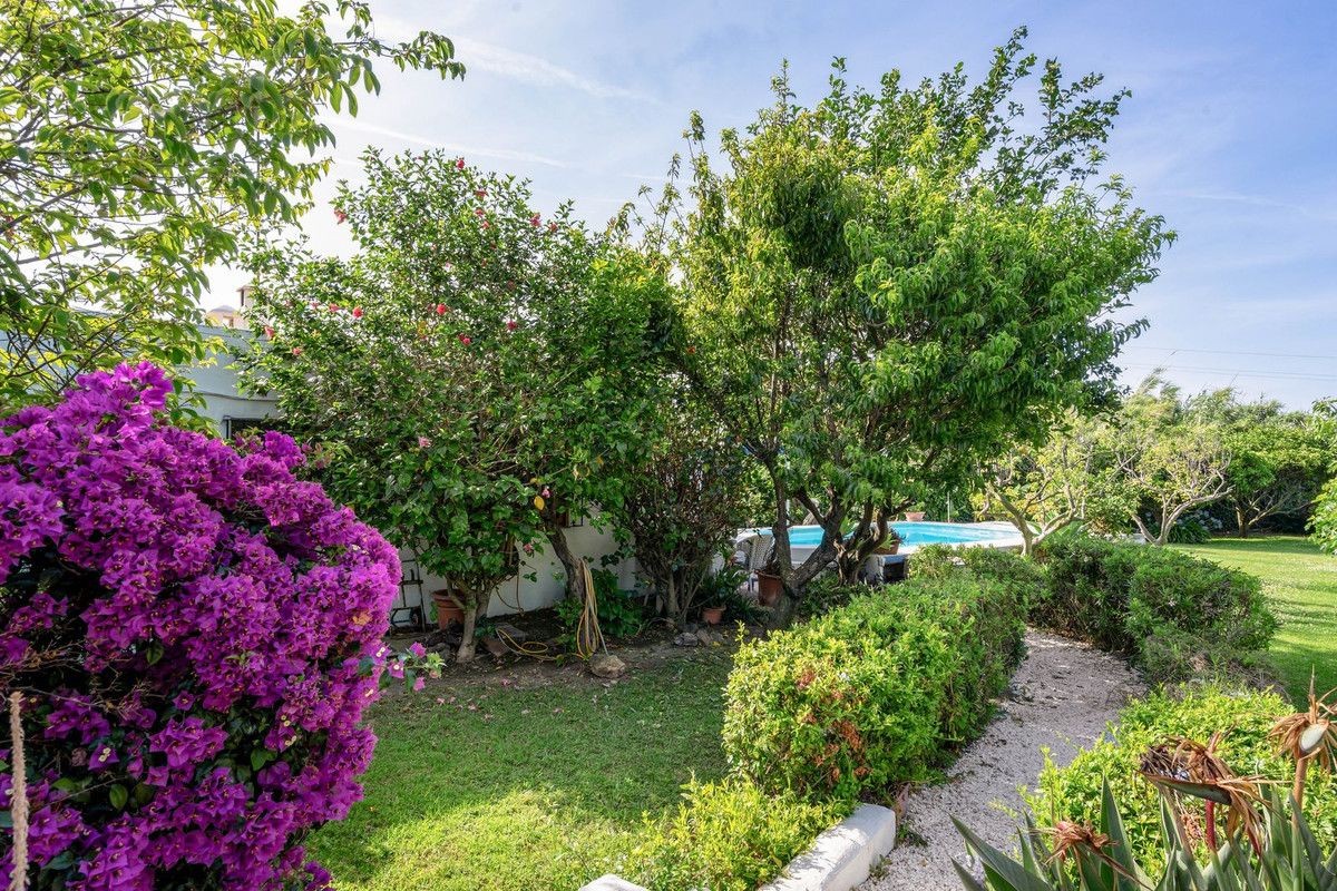 Finca - Cortijo w Estepona, Estepona, 6/12
