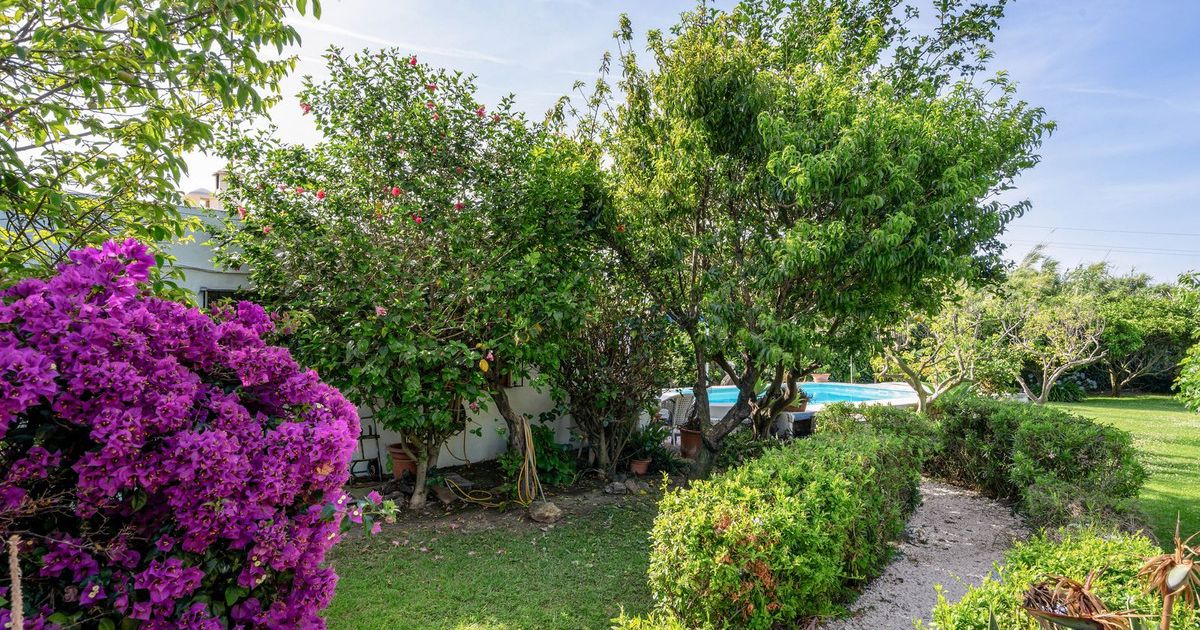Finca - Cortijo w Estepona, Estepona, 6/12