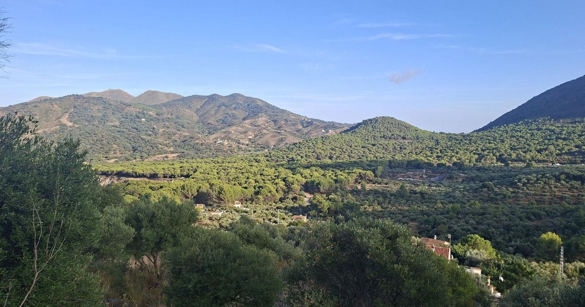 Finca - Cortijo in Ojén, Ojén, 1/12