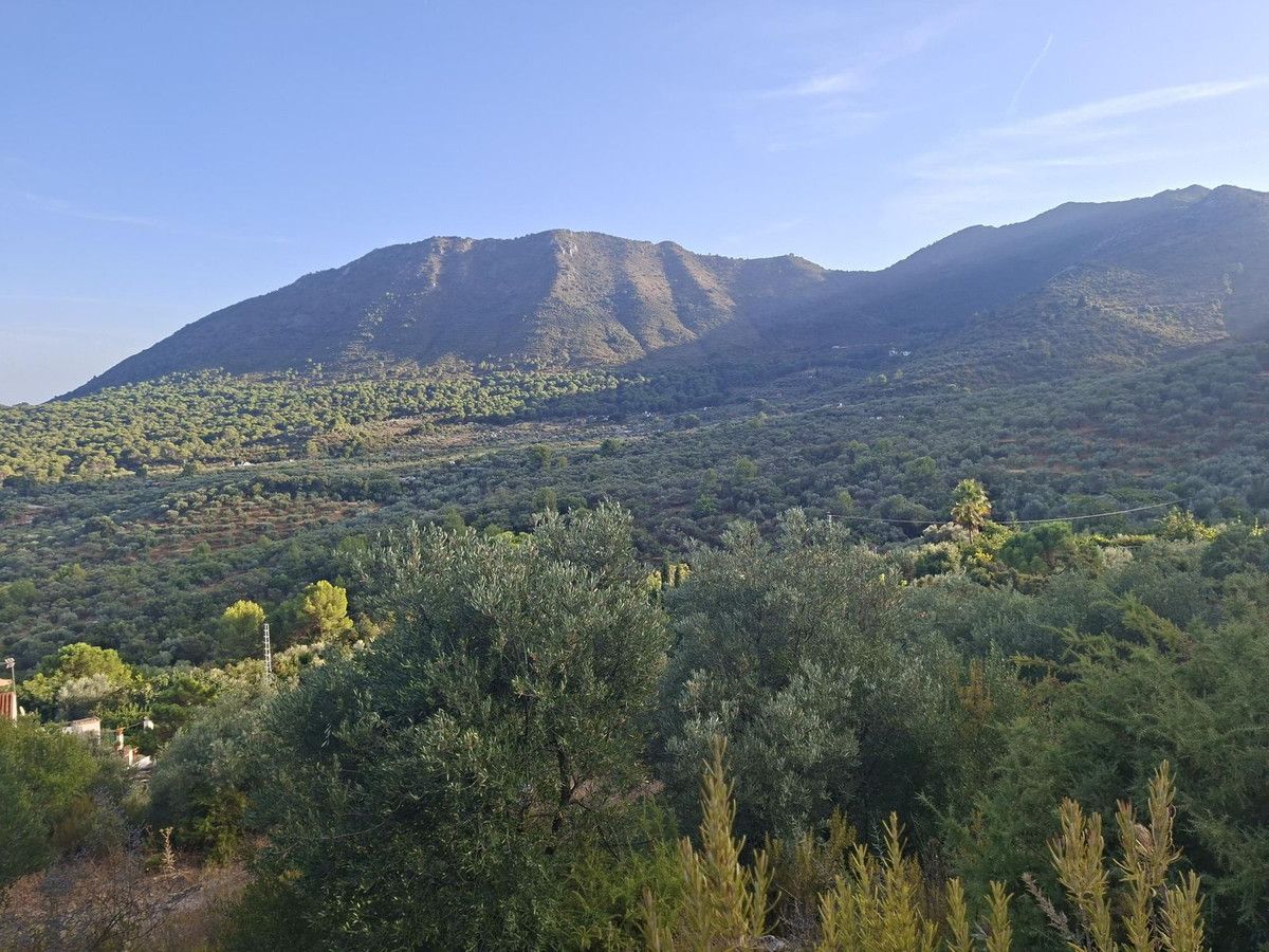 Finca - Cortijo in Ojén, Ojén, 2/12