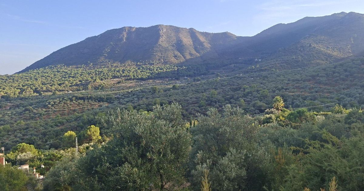 Finca - Cortijo in Ojén, Ojén, 2/12