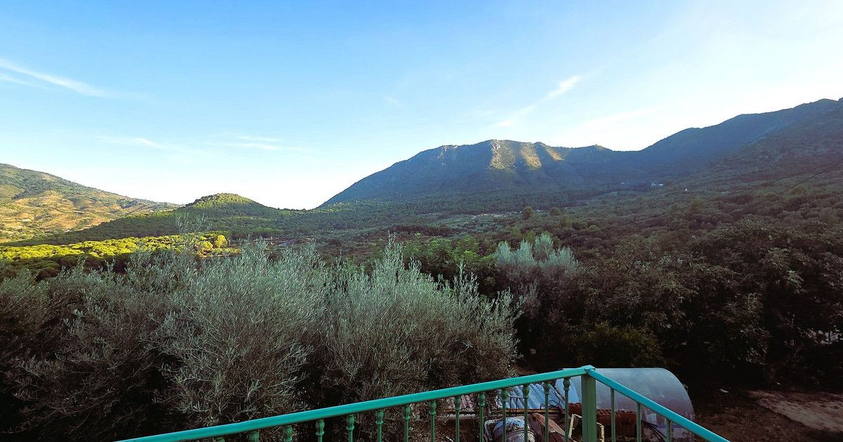 Finca - Cortijo in Ojén, Ojén, 4/12