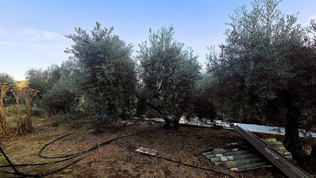 Finca - Cortijo in Ojén, Ojén, 7/12