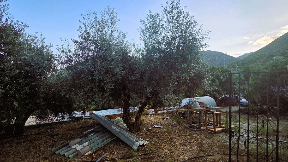 Finca - Cortijo in Ojén, Ojén, 8/12