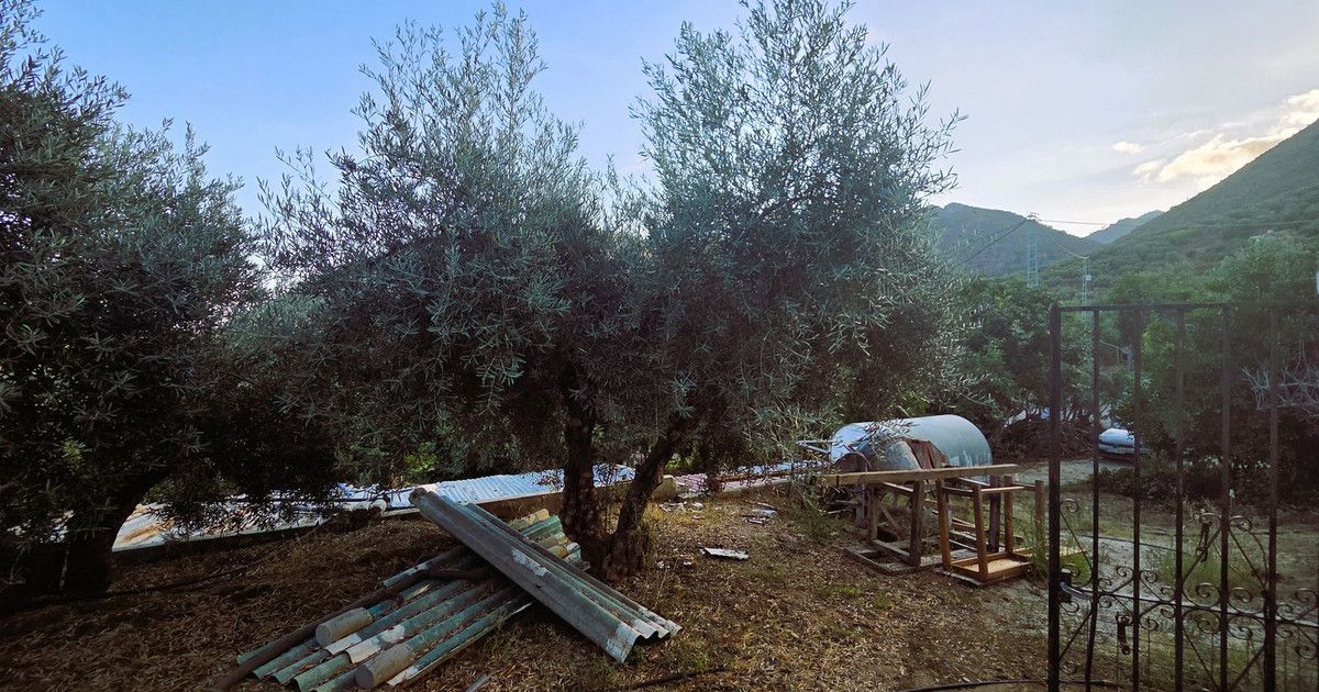 Finca - Cortijo in Ojén, Ojén, 8/12