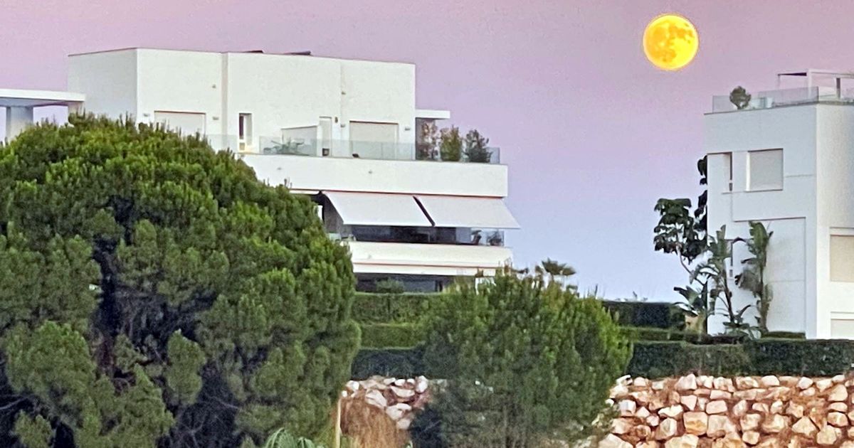Apartment in Benahavis, Soto de la Quinta, Benahavis, 2/2