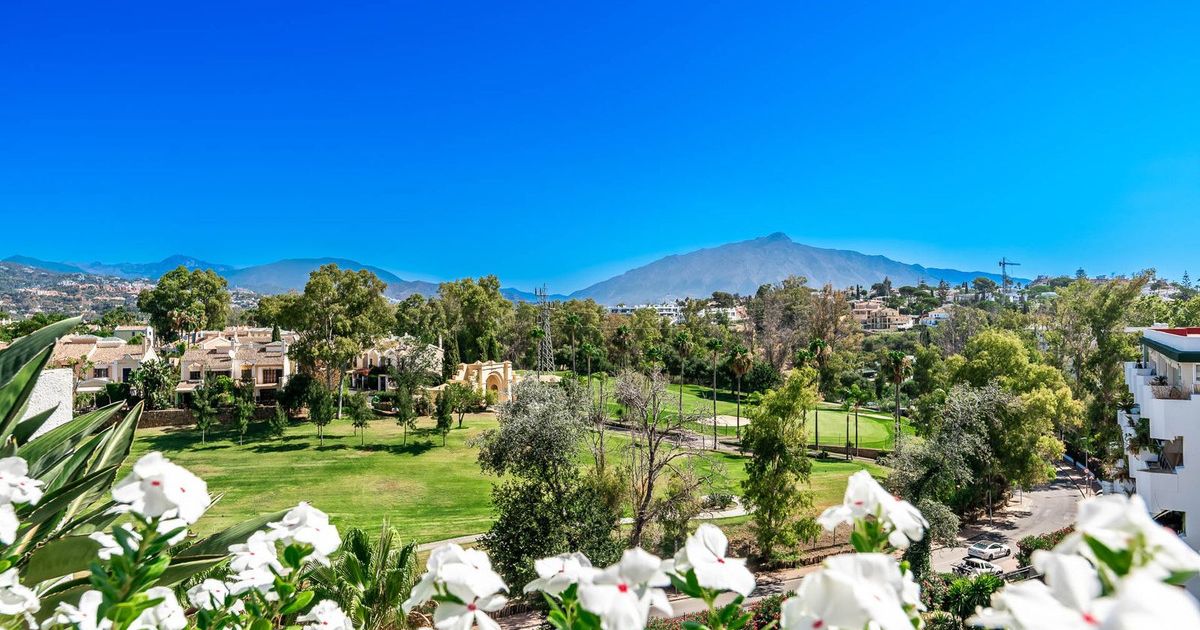 Дуплекс-пентхаус в Guadalmina Alta, Guadalmina Alta, 2/12