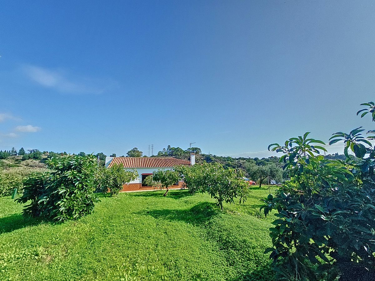 Finca - Cortijo in El Padron, El Padron, 2/12