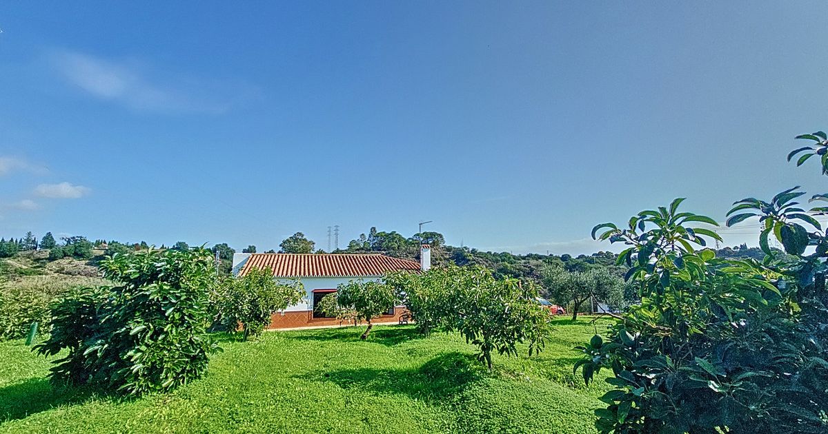 Finca - Cortijo in El Padron, El Padron, 2/12