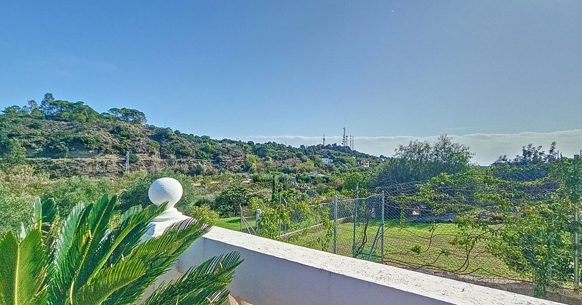 Finca - Cortijo in El Padron, El Padron, 7/12