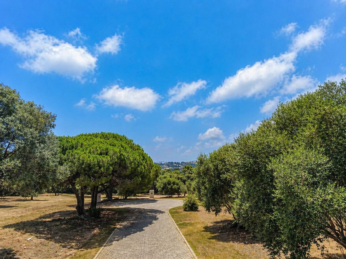 Wohngrundstück in Sotogrande Alto, Sotogrande Alto, 2/12