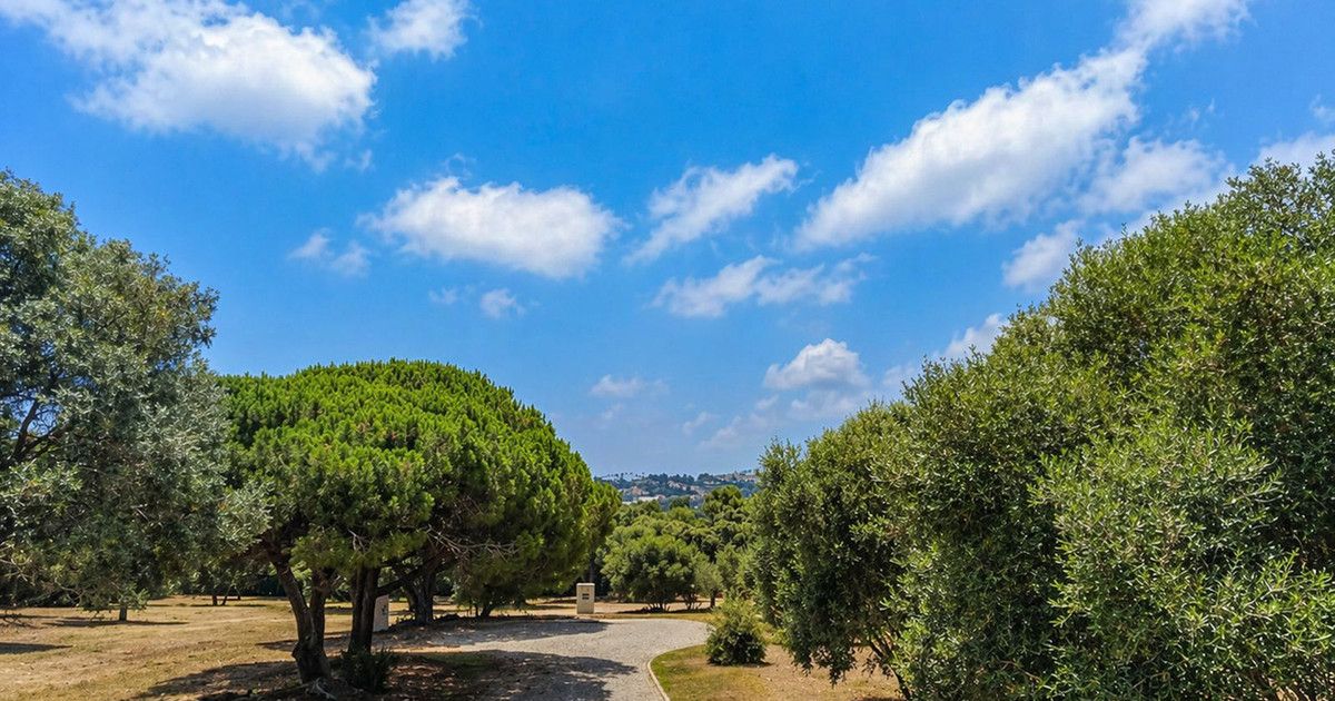Wohngrundstück in Sotogrande Alto, Sotogrande Alto, 2/12