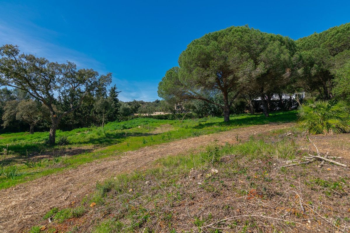 Wohngrundstück in Sotogrande Alto, Sotogrande Alto, 12/12